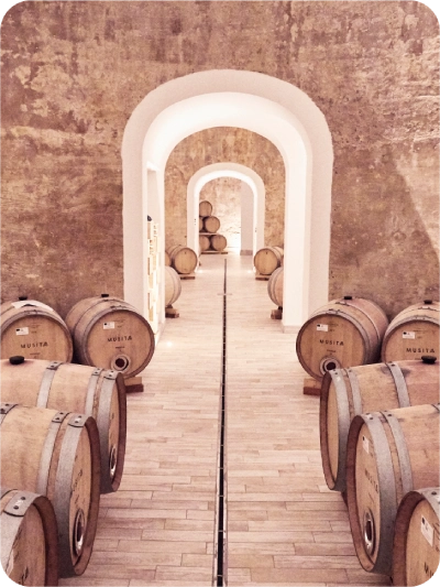 Visita alla Cantina Musita